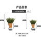 Simulated Pine Needle Cypress Plant Potted Christmas Decoration Ornament Home Desktop Green Plant Pot with Red Clay Flower Pot