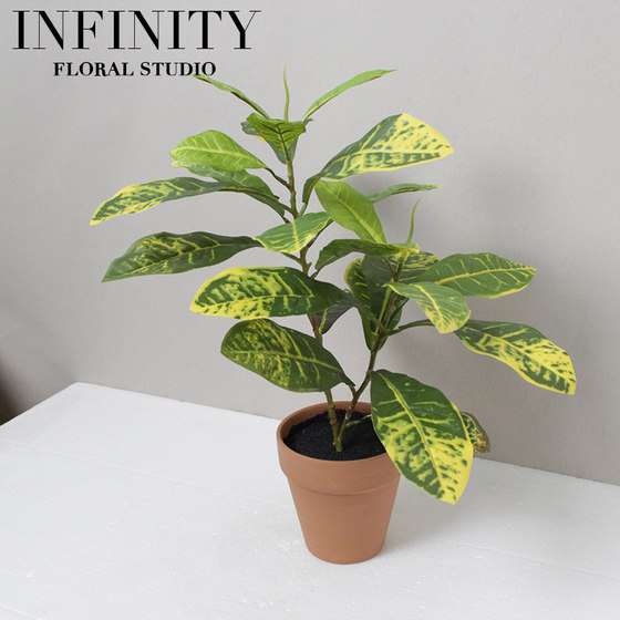 Simulated Foliage-Changing Plant Belgian Indian Banyan Potted Plant in Red Clay Flower Pot Green Plant Home Decoration Ornament Simple Natural Style