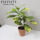 Simulated Foliage-Changing Plant Belgian Indian Banyan Potted Plant in Red Clay Flower Pot Green Plant Home Decoration Ornament Simple Natural Style