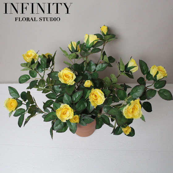 Simulated Rose Juice Rose Potted Plant Red Clay Flower Pot Artificial Flower Home Decoration Ornament Simple French Natural Style