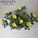 Simulated Rose Juice Rose Potted Plant Red Clay Flower Pot Artificial Flower Home Decoration Ornament Simple French Natural Style