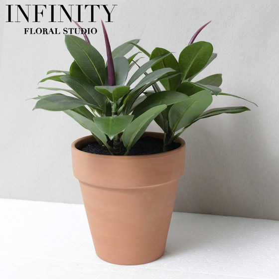 Nordic Home Potted Green Plant Ornaments Indoor Decoration Artificial Oak Tree Red Clay Flower Pot Desktop ins Style