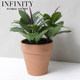 Nordic Home Potted Green Plant Ornaments Indoor Decoration Artificial Oak Tree Red Clay Flower Pot Desktop ins Style