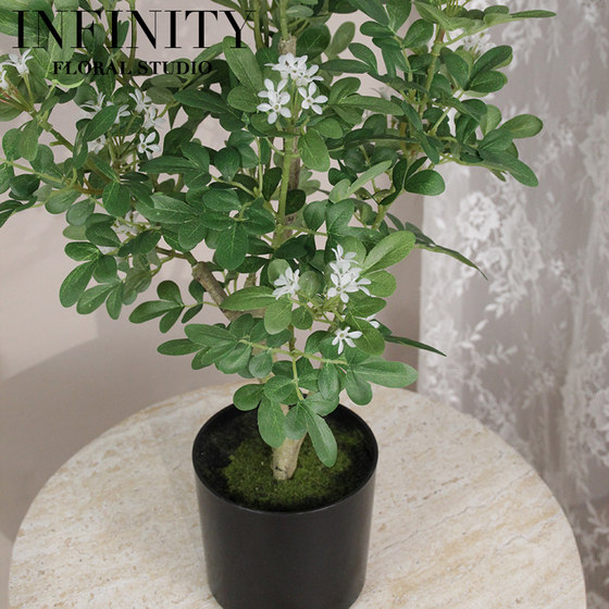 Simulated Rice Orchid Potted Green Leaf Plant Desktop Ornament Modern Minimalist Style Indoor Landscaping Home Decoration