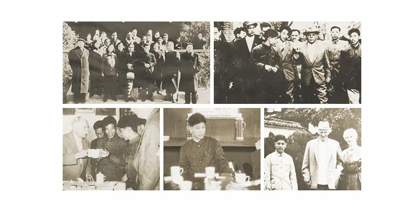 Liu'an Melon Film-Canned_12.jpg