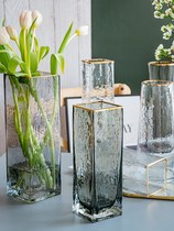 European-style light luxury gold glass vase transparent square mouth creative hydroponic plants flower flower flower vase home ornaments