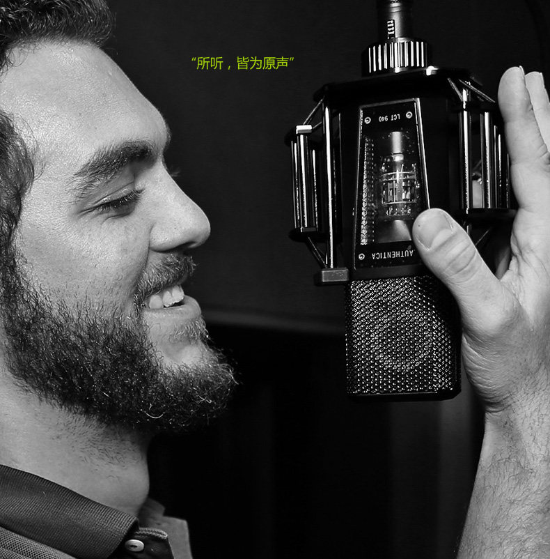 LEWITT Levitt LCT 940 TEC Award Capacitor Recording Microphones for Bill Tube Transistor