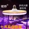 Nuo plough succulent lamp Fill light lamp growth lamp Succulent plant combination potted plant full light seedling LED lamp Household