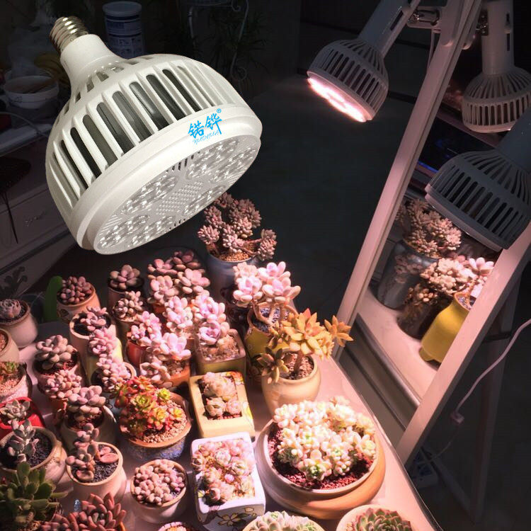 Cordyceps plant lamp multi-fleshy supplementary light color full spectrum LED lamp imitation sun cordyceps flower indoor growth lamp