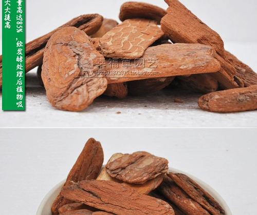 Положение сосновой чешуйки сосновой коры Phalaenopsis Tie Dendroboic Polynuts Pot Pot Cotus Potus Potus Pot Basin Basin Basin Basic