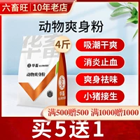 Зверя свиньи собирают сырые розовые розовые с прохладным порошком тела, сушеными свиньями, свиньями, совкой здоровья миман