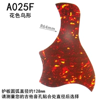 A025F [Flanking Birds]