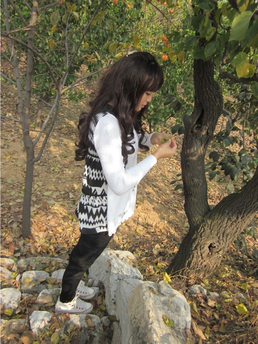 Perruque FSHOW    Les cheveux longs - Ref 2613814 Image 16