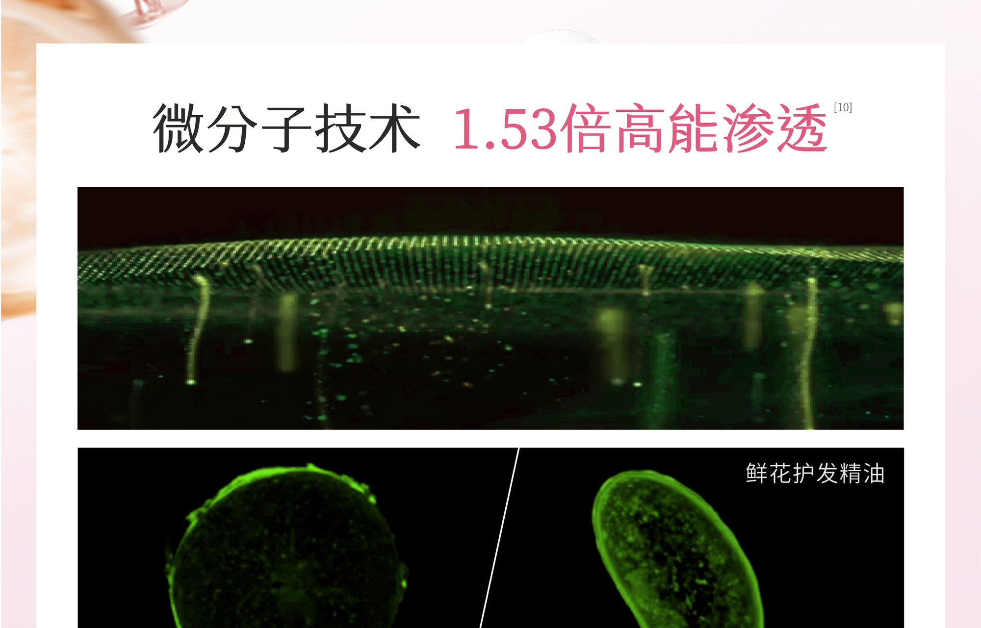 【中国直邮】 半亩花田 玫瑰护发精油 卷发柔顺滑干枯毛躁修护持久留香 50ml