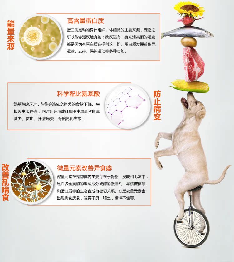 Red dog kem dinh dưỡng toàn diện chó con chó con mèo con mèo con sau khi mang thai sản phẩm dinh dưỡng sức khỏe vitamin axit amin sữa cho mèo con mất mẹ