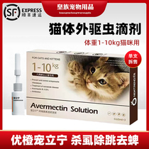 Excellent Orange in vitro anthelmintic cats in vivo and in vitro kittens Flea lice ticks insect repellent single sale