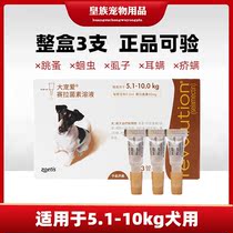 Big favorite 5 1-10kg medium-sized dog in vitro and in one body and deworming flea dog drops 60mg three-pack