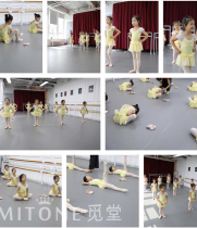  Michelle Dance Cotton Lycra Bubble Princess Sleeve Childrens Ballet Skirt