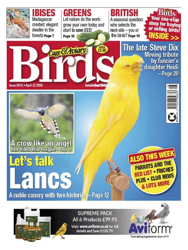 Cage & Aviary Birds - 04.15.2026