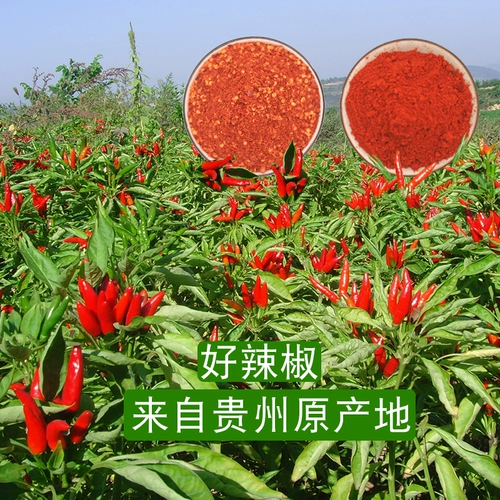 Guizhou Pepper Pepper Масло масла