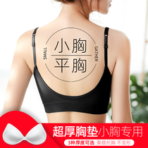 Small Chest Thickened Back Underwear Women's Flat Chest Shown Big Gather to Build Student Backing Vest Yoga Sports Bra