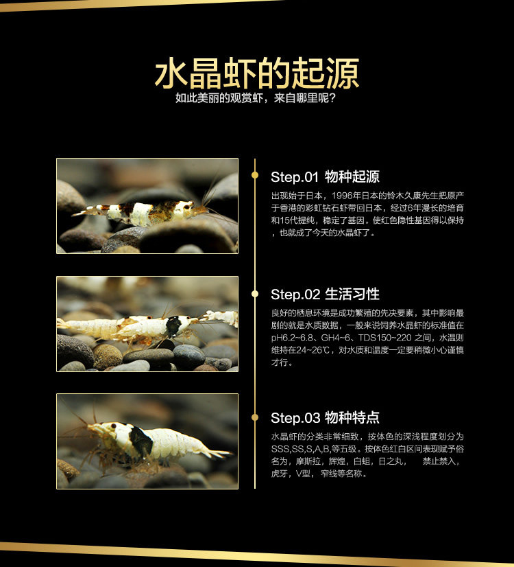 [ 黑白水晶虾-04.jpg]