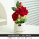 RS White Vase Red Rose