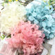 Goddess Day immortal flower A-grade medium large leaf hydrangea diy violent bear material package glass cover gift box key car hanging