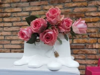 Маленький белый не содержит моделируемых цветов