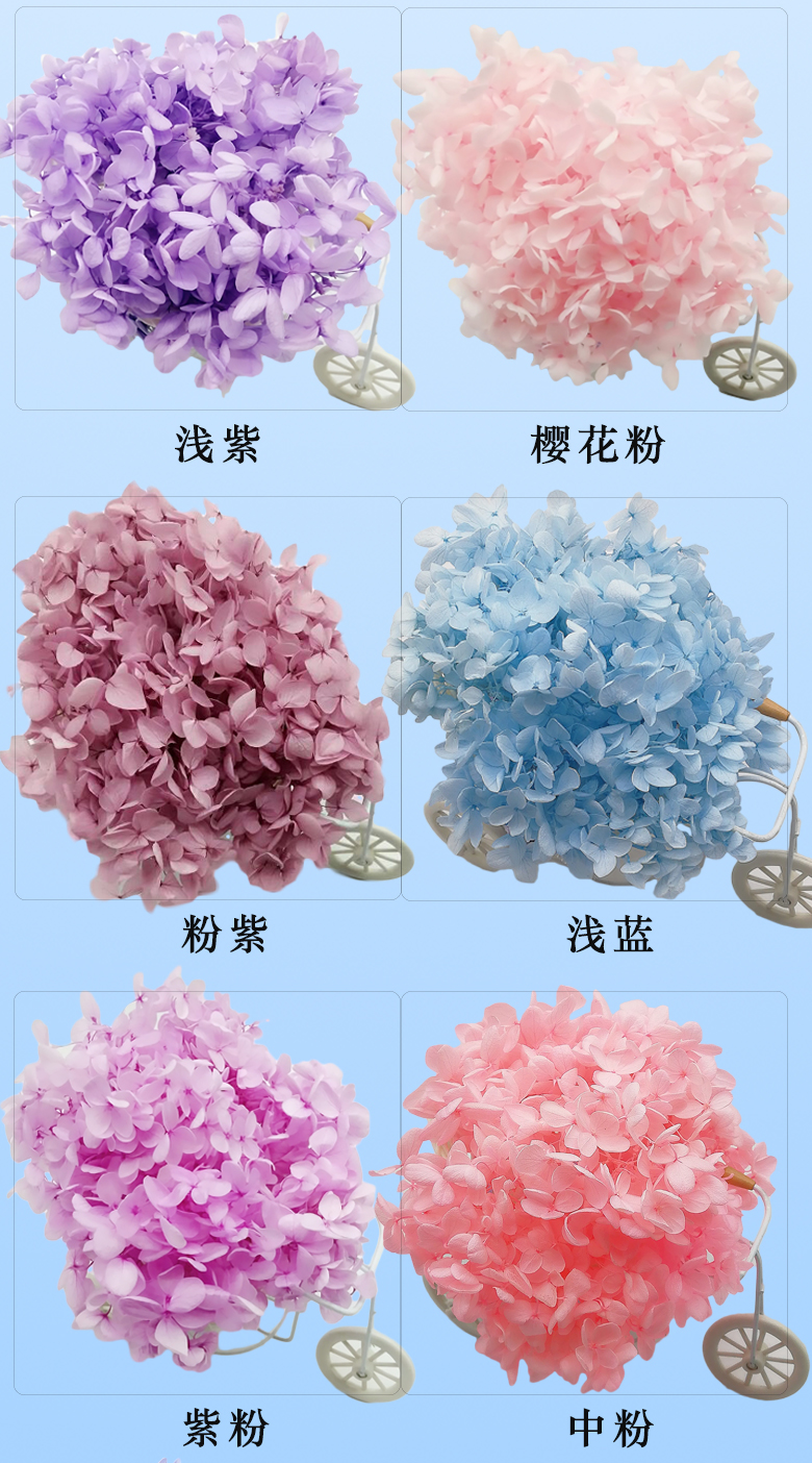 Hoa vĩnh cửu hoa cẩm tú cầu khô tự làm vật liệu gói vòng nhẫn hộp vòng hoa treo xe hoa tươi thật cô dâu cô dâu - Nhẫn nhẫn bạc nữ