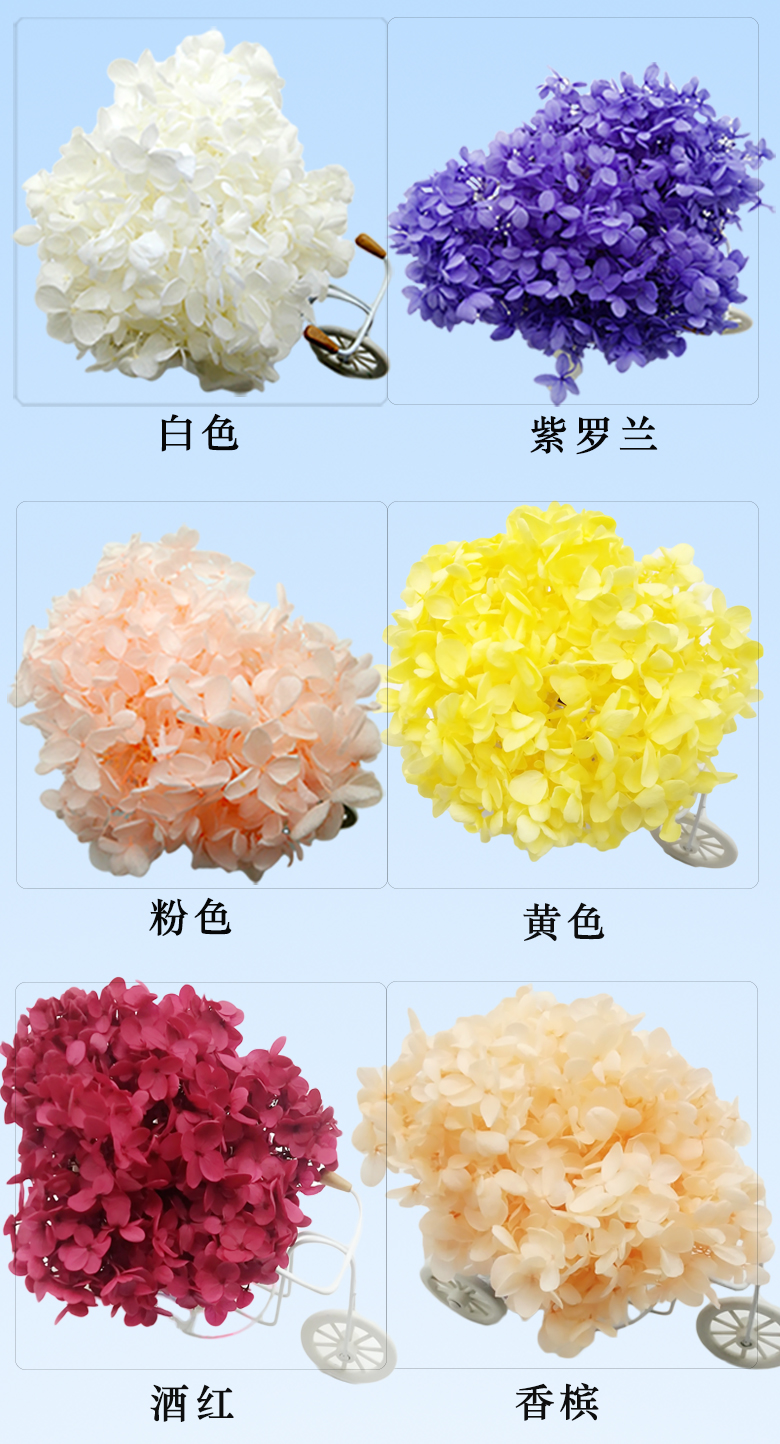Hoa vĩnh cửu hoa cẩm tú cầu khô tự làm vật liệu gói vòng nhẫn hộp vòng hoa treo xe hoa tươi thật cô dâu cô dâu - Nhẫn nhẫn bạc nữ