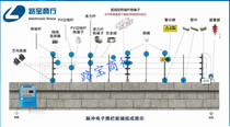 Electronic fence Pulse host electronic fence accessories electronic fence system high voltage grid
