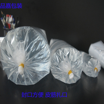 40*75 square bottom extra thick aviation bag 14 silk ornamental fish bag dragon fish bag four points one long and thick