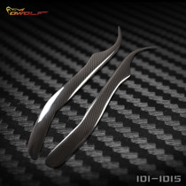 LEXUS LEXUS IS200 carbon fiber eyebrow 99-05 headlight decorative eyebrow modification