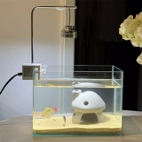 *Красивая маленькая тетя*xiaohongshu тот же рабочий стол в маленькой рыбной танк