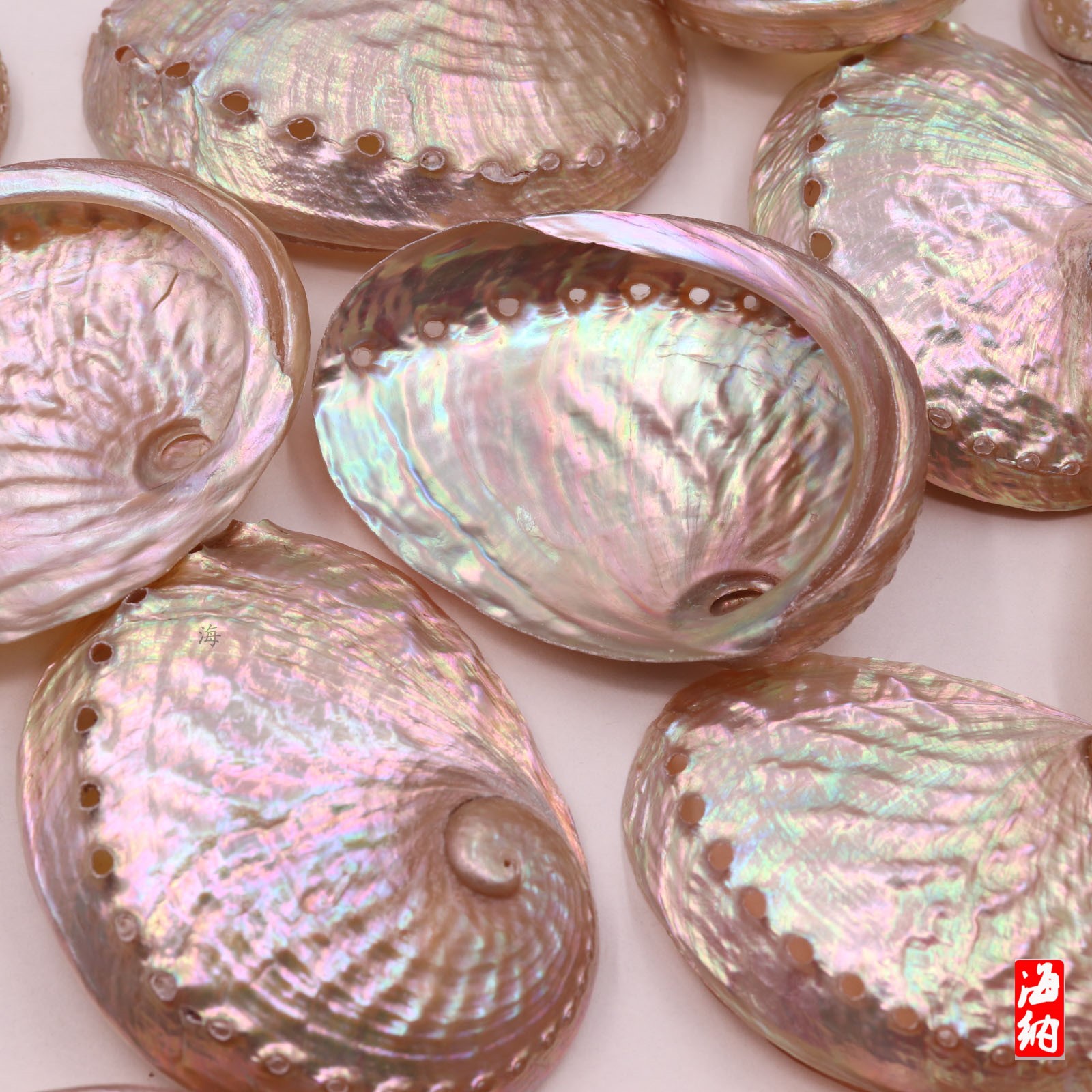 Natural abalone shell conch ornament storage jewelry jewelry shooting props lacquerware inlaid DIY aquarium landscaping