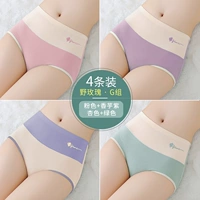 G Group-Pink+Taro Purple+Abricot Color+Green [4 Установка моделей хлопка с высокой талией]