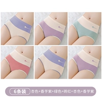 Группа E-Apricot Color+Taro Purple+зеленый+кирпичный красный+цвет абрикоса+Paro Purple [6 модели хлопка с высокой талией]]