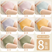 Лаос Порошок+светло -фиолетовый+небо синий+Таро фиолетовый+имбирь*2+матча*2 [8 упаковка]