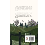 Автор «Потерянная девушка» Маса Холл Келли, адаптированный от реальных людей и реальных вещей о дружбе женщин, женской нежности и настойчивости иностранных главных романов, книг и литературы