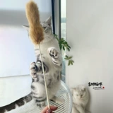 Мао Чжа Дуда Кролик Мао Лонг незнакомец натуральные характеристики кролика дразнят игрушки для кошек Kitter