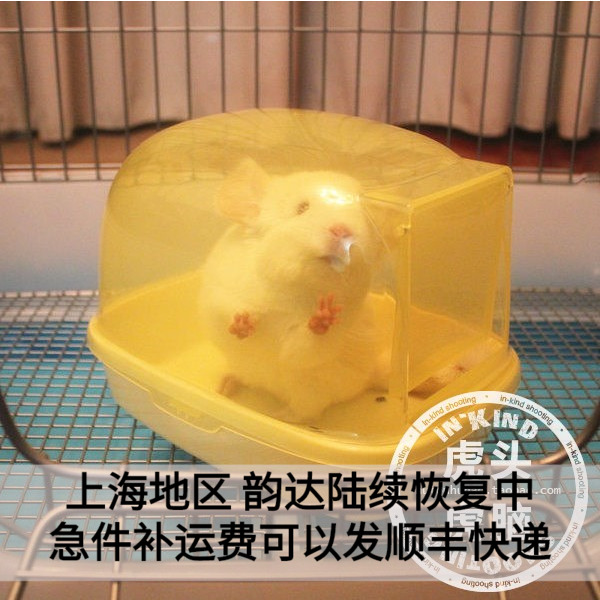 Dragon Cat Bathroom Free Access To Discharge Dust Design Door Color Random Hair