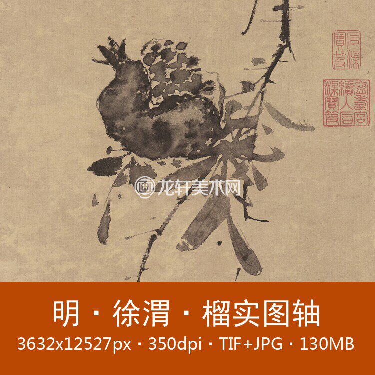 Xu Wei, Pomegranate Scroll, Ming Dynasty Xu Wenchang's famous Chinese painting, freehand brushwork, flower and bird painting, electronic map material
