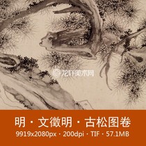 Wen Jing Ming ancient pine picture scroll painting core Ming Dynasty famous painting ink painting Cangsong ancient tree Chinese painting electronic picture material