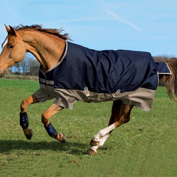 Spring and autumn horse clothes Irish AMIGO thin warm horse clothes training horse clothes breathable horse clothes rain-proof windproof