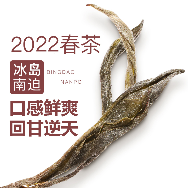 Pre-Qingming Spring Tea, Pure Material from Ancient Trees, Hainan Nuanpo Pu-Erh Tea, Raw Tea, Loose Tea, 500g, Strong Aroma and Sweet Aftertaste