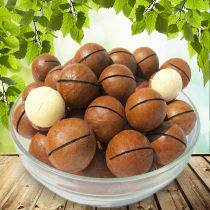 Macadamia nuts 436g 218g Milk flavor fragrant nut specialty snack bag with fruit opener