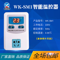 Digital display automatic microcomputer intelligent thermostat temperature controller switch electronic temperature controller control socket