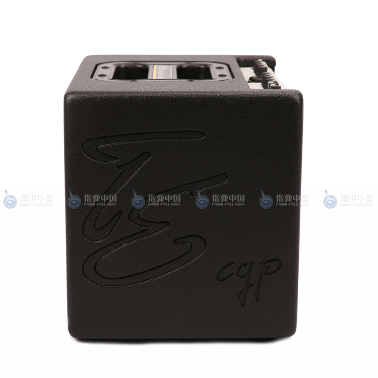 Loa chữ ký AER Tommy Emmanuel của Đức Compact 60 thế hệ thứ ba đích thực - Loa loa loa bose 601
