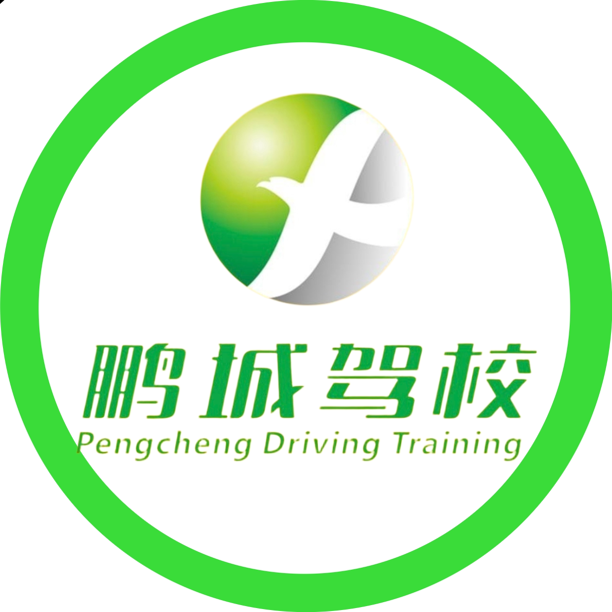 鹏城驾校的LOGO